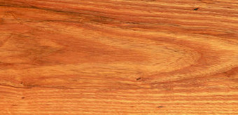 American Ash
