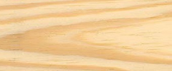 Slash Pine