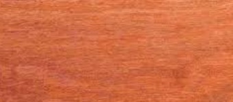 Turpentine